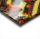 Tomatoescalators Acrylic print