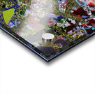 Predilection for Anamorphic Disaster Acrylic print