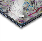 Florens Tribulatio Acrylic print