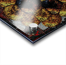 Castle Bravo Bee Eye Acrylic print