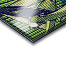 Roller Coasterish Blades of Grass Acrylic print