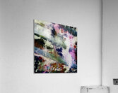 Digression Progression IV Acrylic Print