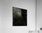 Ellipsis Acrylic Print