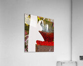 Sweart Fyr Acrylic Print