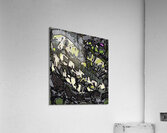 Reclamation by The Mother Acrylic Print