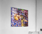 1TWOcolon4Four Acrylic Print