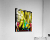 Axe Throwing Tango Competition Acrylic Print