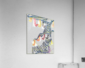 Where All The Missing Socks Have Gone Acrylic Print