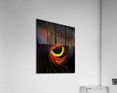 Oculus Noctuae Acrylic Print