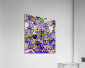 Anthocyanin Aria Acrylic Print