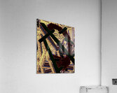 A is for Ear Acrylic Print