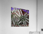 Antediluviantude Acrylic Print