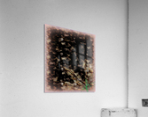 Peachy Facade Where Horrid Lies Bloom Acrylic Print