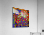 A Capella Kuru Acrylic Print