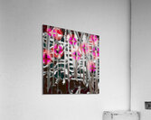 Addition Si9ns Acrylic Print