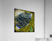 Memoria Disruptive Acrylic Print