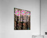18.9 Celsius Acrylic Print