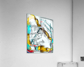 Abbozzo Medley Acrylic Print