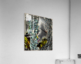 Krzywy Las Acrylic Print