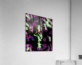 Trice Aperçu Acrylic Print