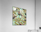 Gecko Penitentiary Acrylic Print