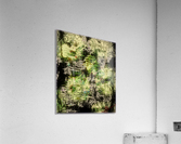 Neurophysiological Effervescent Melancholia Acrylic Print