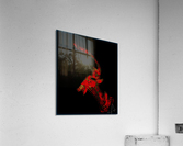 Manifestation Acrylic Print