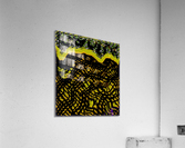 Not a Rothko Acrylic Print