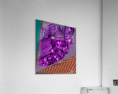 A Hatching Acrylic Print