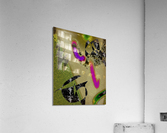 Celaya Acrylic Print