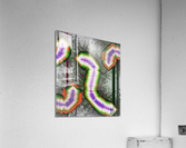 Unidentified Sky Snakes Acrylic Print
