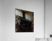 Flying Dirt Acrylic Print