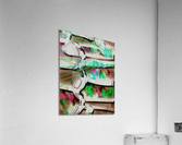 Sedimentarium 356 Acrylic Print