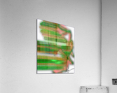 Unfinished Custom Straight Jacket Acrylic Print
