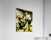 Somnium Spill Acrylic Print