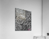 Rife With Devastation Acrylic Print