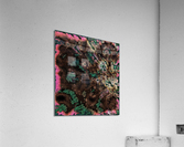 Dentro Poveglia Acrylic Print