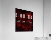 Estrelles de Maduixa Acrylic Print