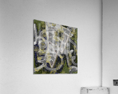 Timbre Floating & Fallen Acrylic Print