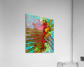 Matter & Antimatter Annihilate Acrylic Print
