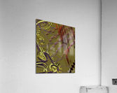 Stagnant Occhiolistics Acrylic Print
