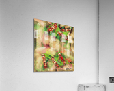 When Radishes Bleed Consider Leaving Acrylic Print