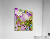 Circa 10 Parsecs Acrylic Print