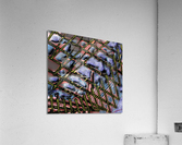 Chthonic Aerobic Bone Structures Acrylic Print