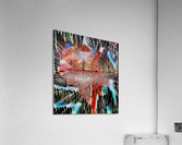 Signals Acrylic Print