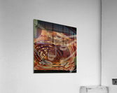 Boa Constrictors Acrylic Print