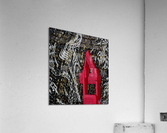 Red Shotgun Acrylic Print