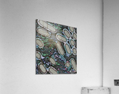 Next Acrylic Print