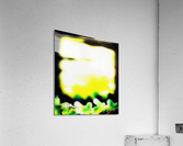 Anxiolysis Acrylic Print