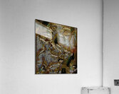 Relinquere Acrylic Print